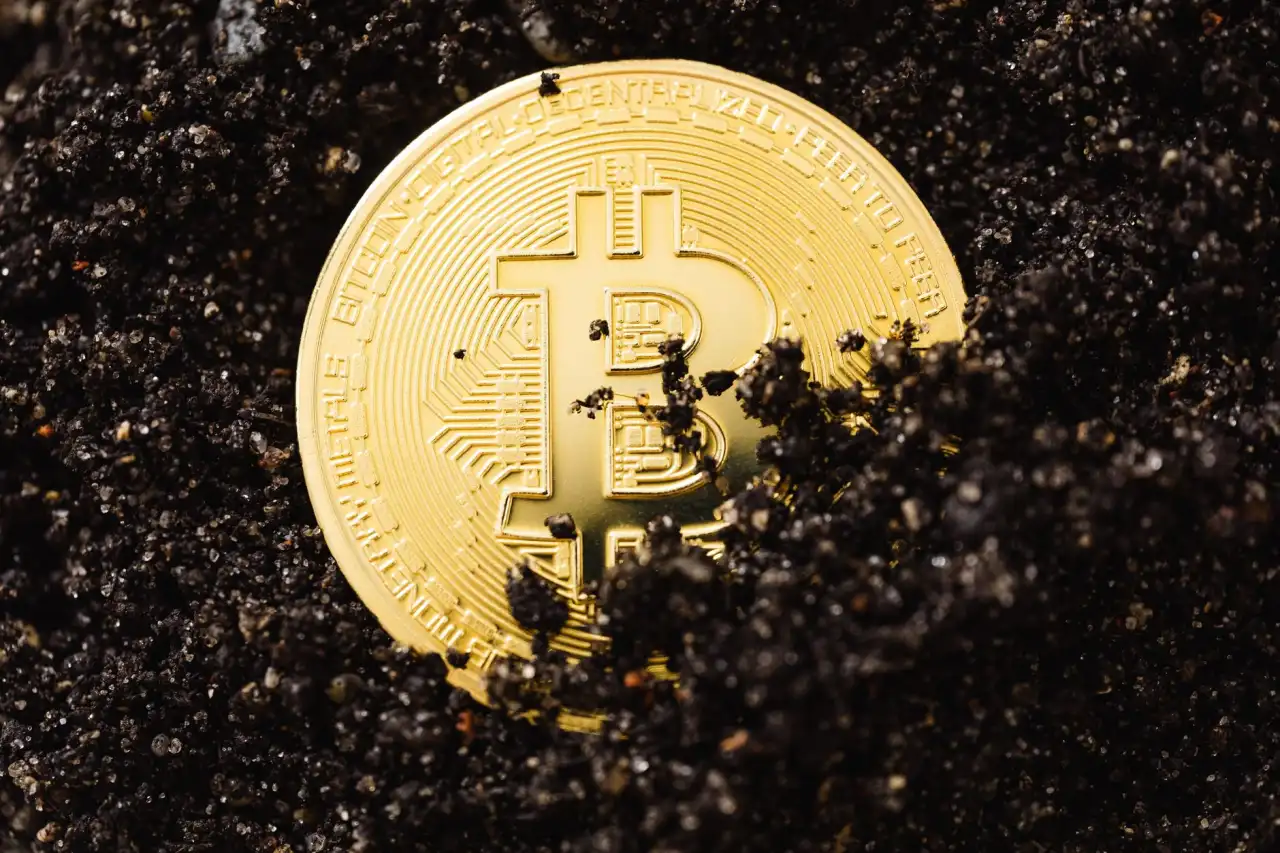 枝江趣苹柏科技：企业数字化转型中的定制化软件开发方案与案例