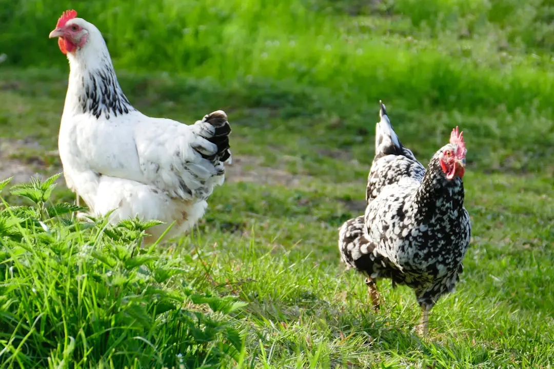枝江企业软件开发服务选型对比：功能与性价比分析